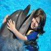 Swimming with dolphins Excursion from Sahel Hashesh โ photo 3