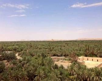 Three days tour to Bahariya Oasis and white desert from Cairo — photo 2