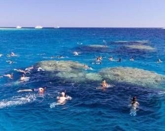 Tiran island snorkeling boat trip from Sharm el Sheikh