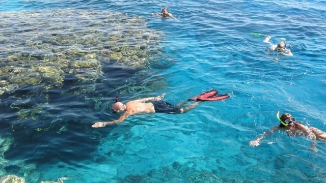 Tiran island snorkeling boat trip from Sharm el Sheikh — photo 3