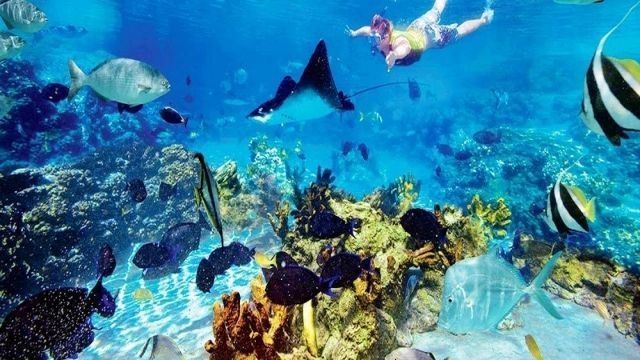 Tiran island snorkeling boat trip from Sharm el Sheikh — photo 7