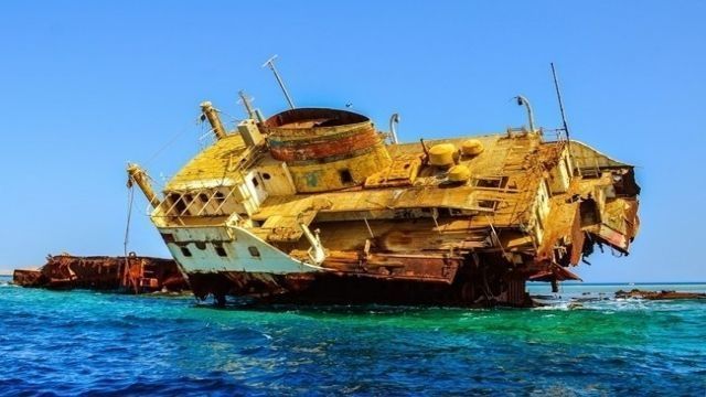 Tiran island snorkeling boat trip from Sharm el Sheikh — photo 8