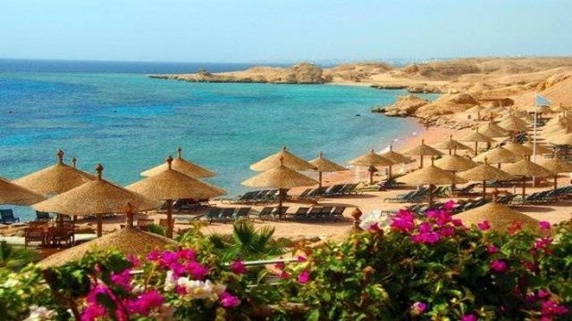 Transfer from Sharm El Sheikh to Sharm El Sheikh Airport