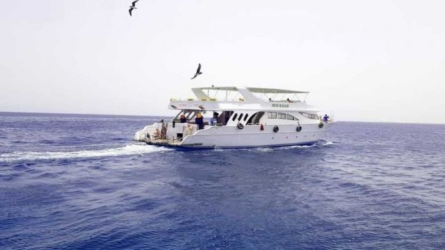 Utopia island Snorkeling tour from Sahel Hashesh โ photo 3