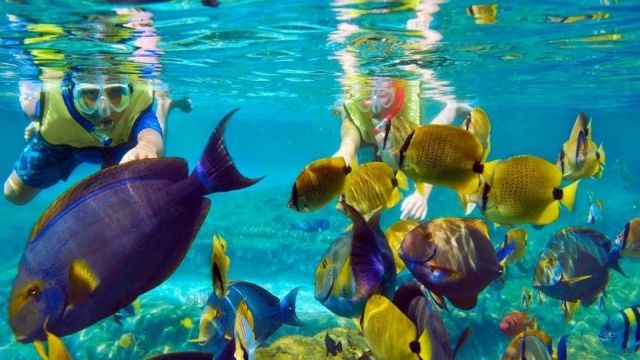 Utopia island Snorkeling tour from Sahel Hashesh โ photo 8