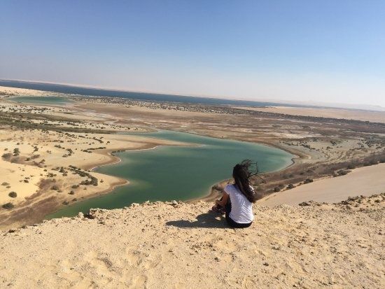 Wadi Al Hitan day trip from Cairo — photo 6