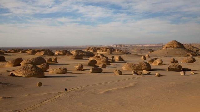 Wadi Al Hitan day trip from Cairo — photo 9