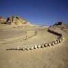 Wadi Al Hitan day trip from Fayoum oasis