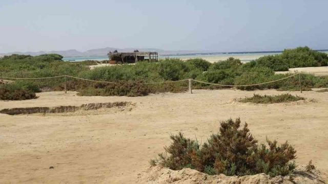 Wadi El Gemal Excursions in Portghalib โ photo 4