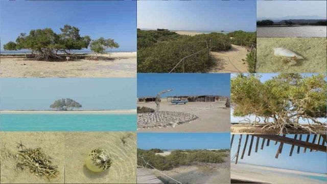 Wadi El Gemal Excursions in Portghalib โ photo 5