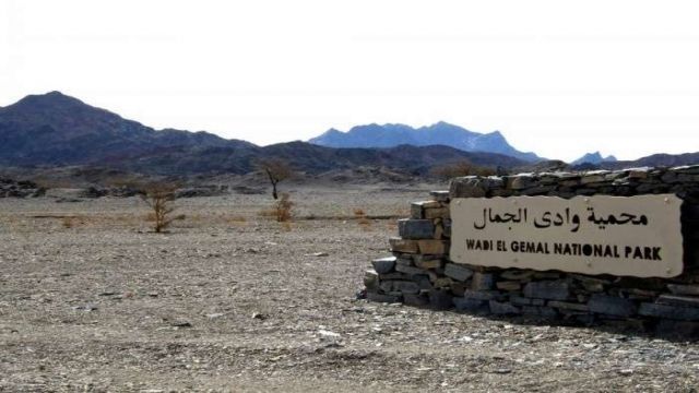 Wadi El Gemal trip from El Quseir — photo 3