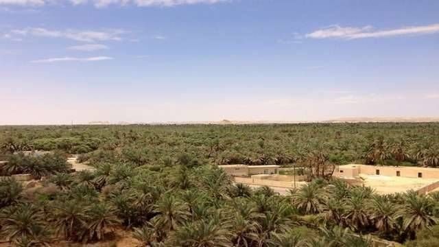 White desert tour from Cairo — photo 4